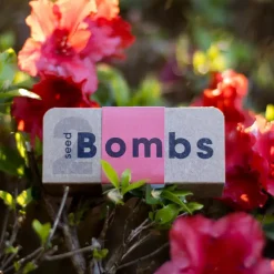 Bomby nasienne - Wild Red Flowers, 2szt.