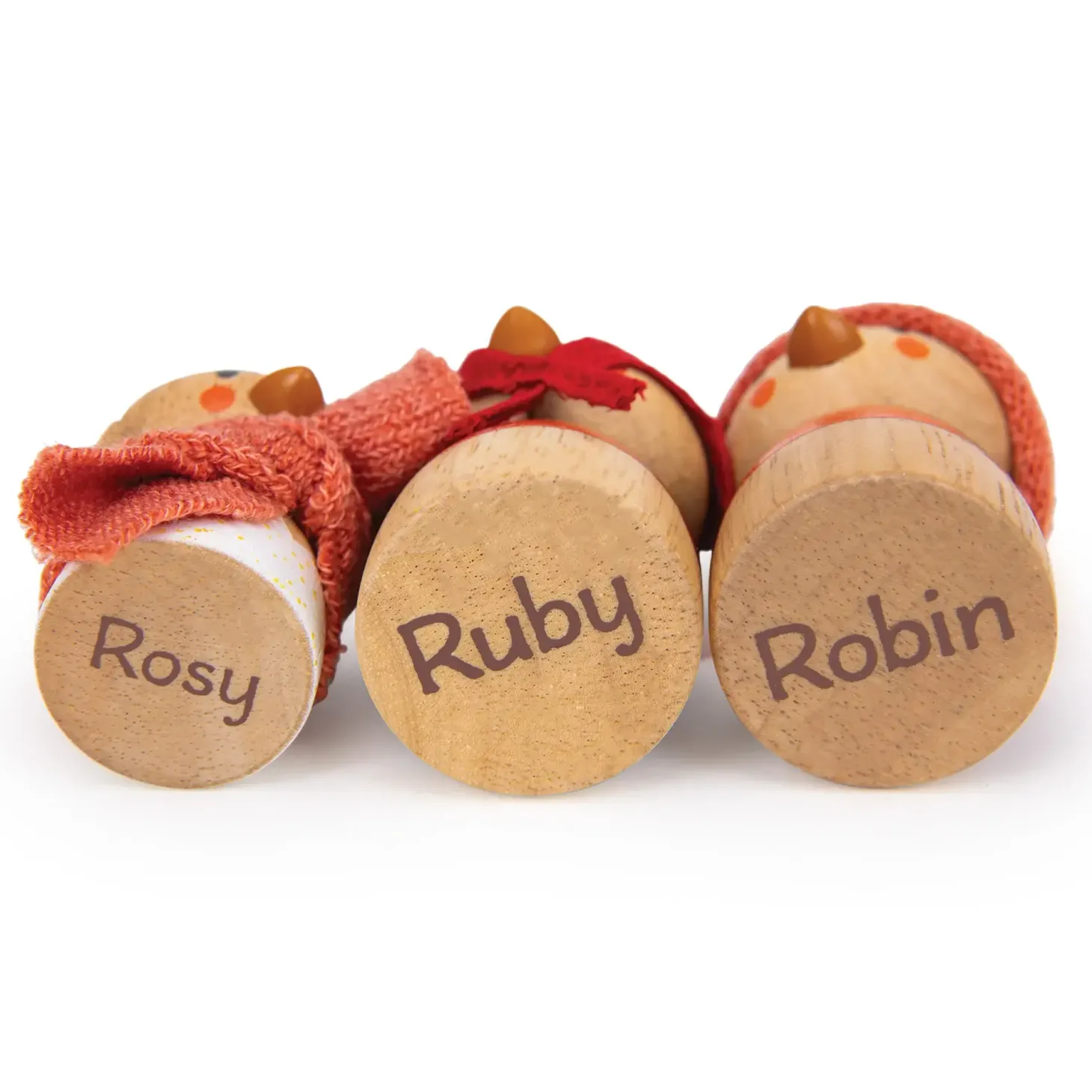 Gniazdko rodziny Robin