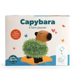 Kapibara z terakoty do zasiania nasion chia