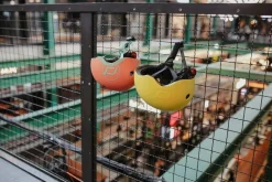 Kask S-M dla dzieci 3+ Lemon kolekcja Icecream