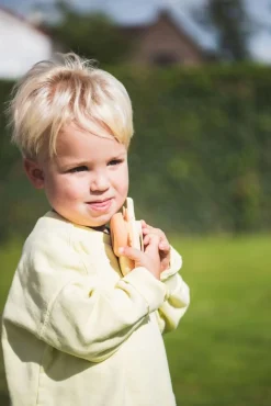 Krótkofalówki dla dzieci Zoo Walkie Talkie - Fox, Fox