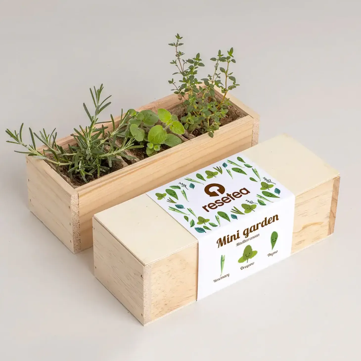 Mini ogród - Mediterranean