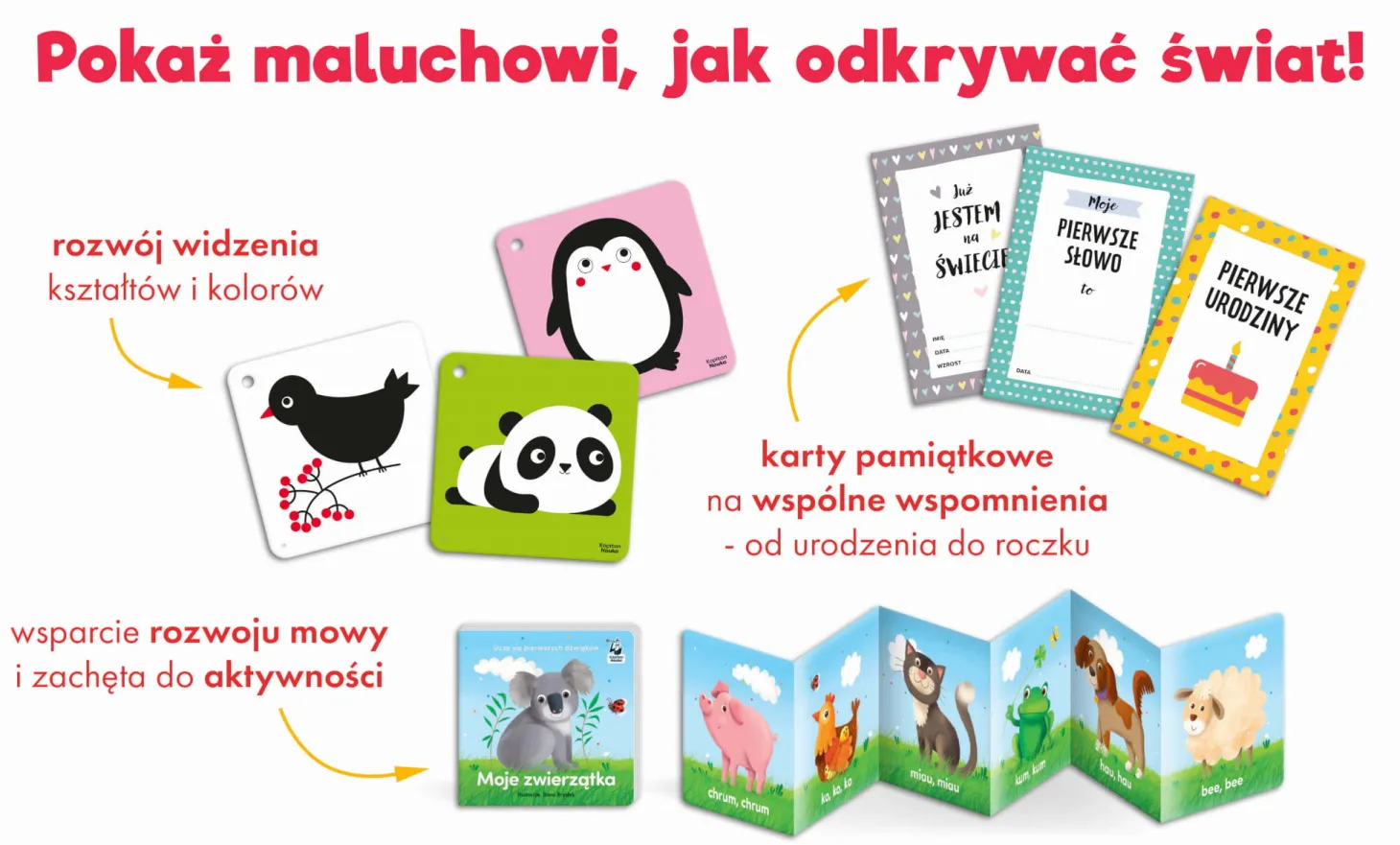 Mój pierwszy rok. Zestaw dla malucha 0-12 miesięcy