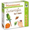 Montessori. Karty sensoryczne z książeczką. Zwierzęta tu i tam