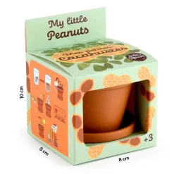 Orzeszki ziemne do samodzielnej uprawy My Little Peanuts