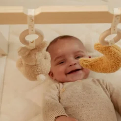 Pałąk interaktywny Newborn Naturals