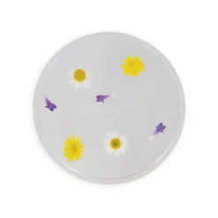Pojemnik do obserwacji z lupą 3+