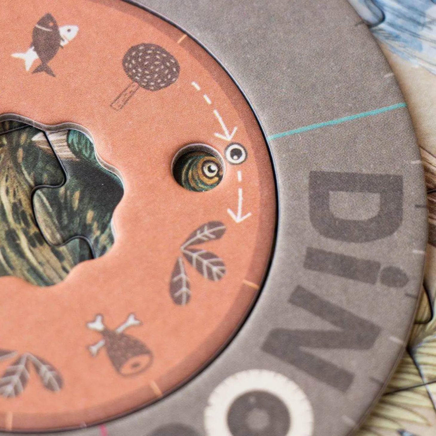 Puzzle obserwacyjne Dinozaury