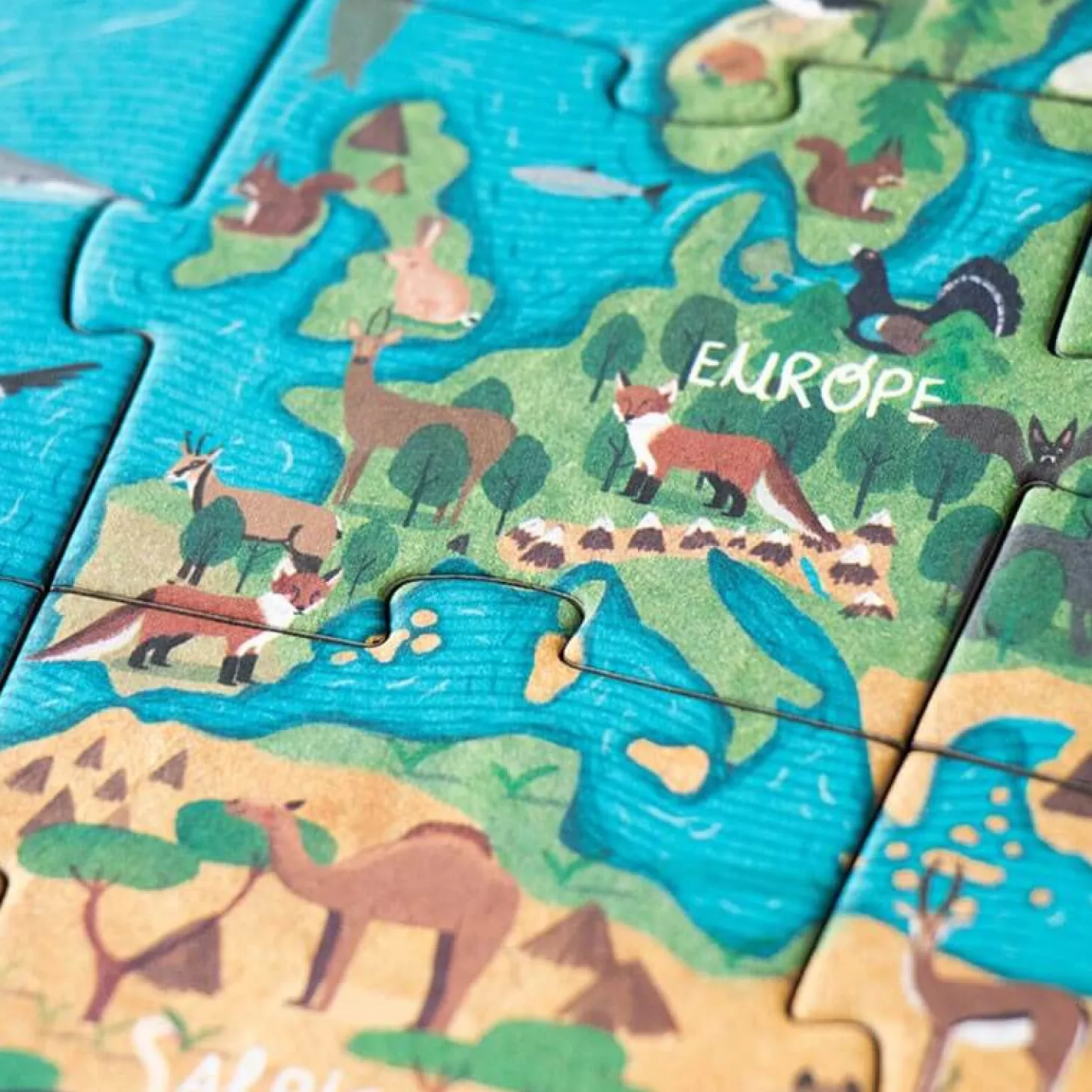 Puzzle z grą obserwacyjną Animal Planet