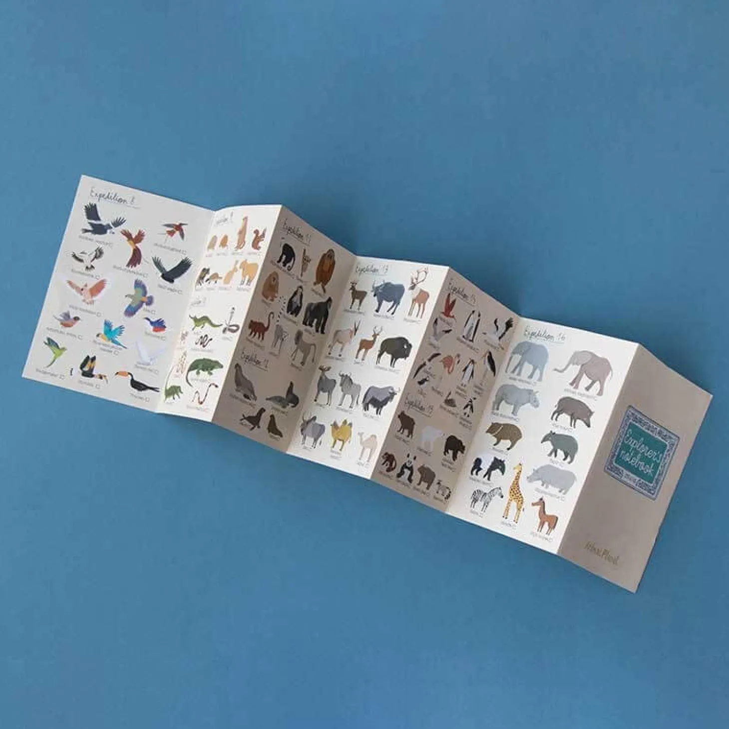 Puzzle z grą obserwacyjną Animal Planet