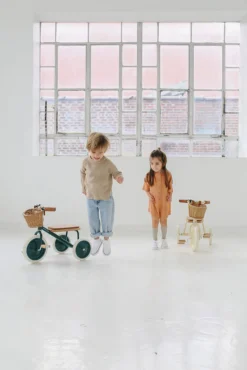 Rowerek trójkołowy Trike Dark Green