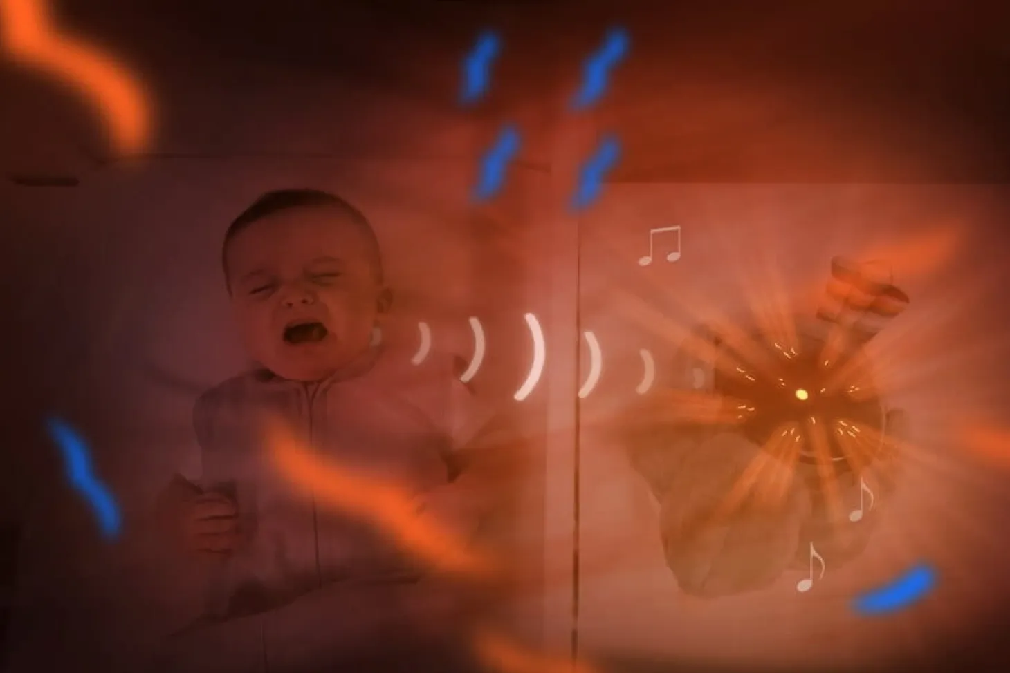 SHALLY Projektor Ptaszek - Zachód Słońca