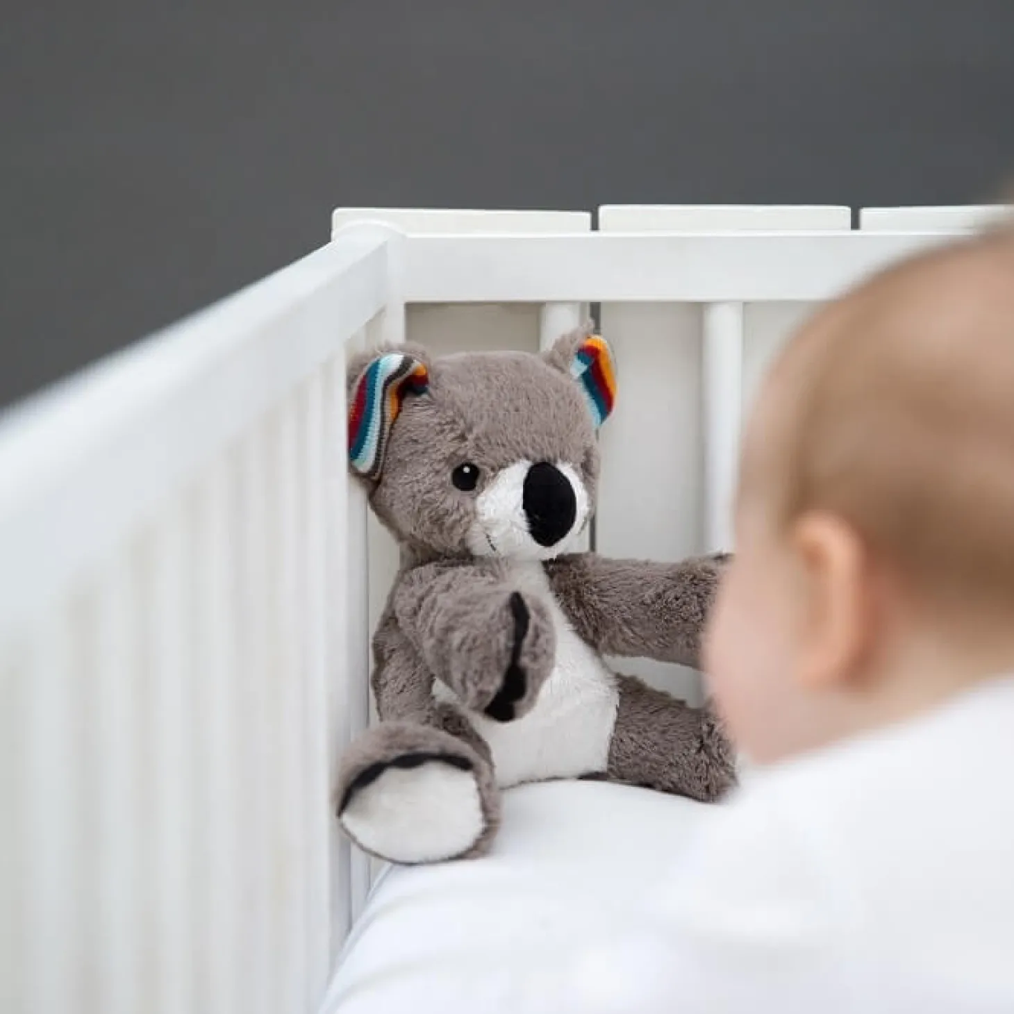 Szumiąca Przytulanka Koala COCO