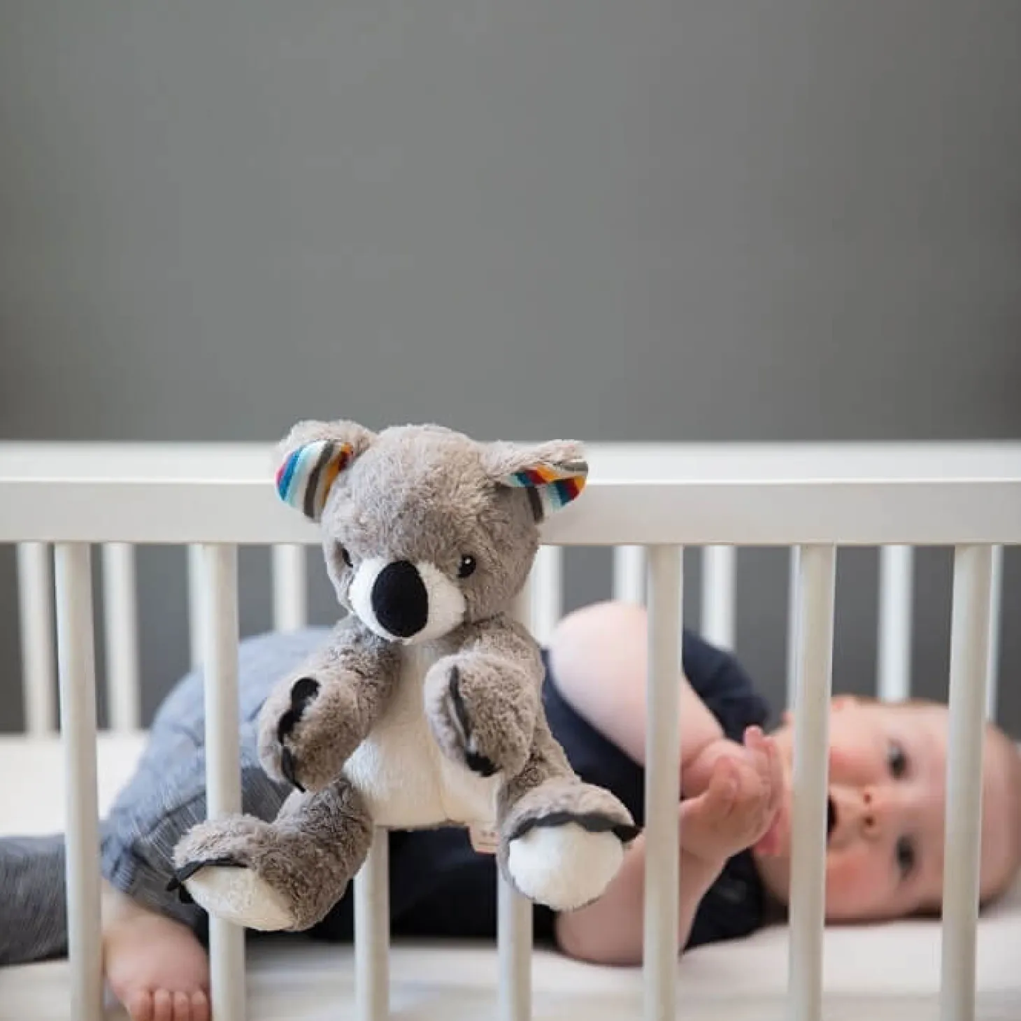 Szumiąca Przytulanka Koala COCO