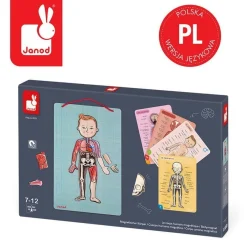 Układanka magnetyczna ciało człowieka