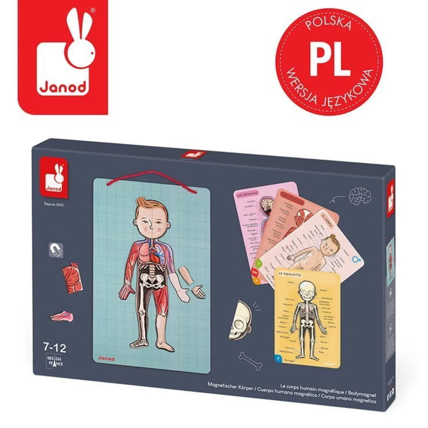 Układanka magnetyczna ciało człowieka