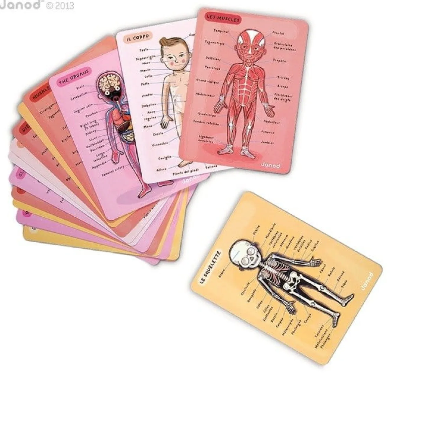 Układanka magnetyczna ciało człowieka