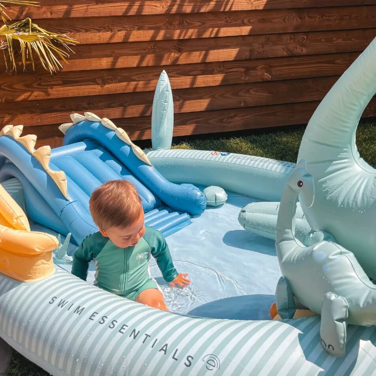 Wodny plac zabaw - Multicolor, Dino