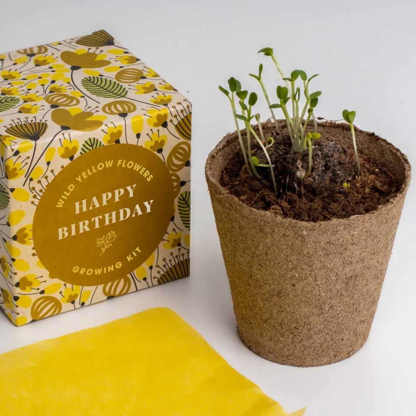 Zestaw prezentowy do sadzenia kwiatów Say it with Flowers - Happy Birthday